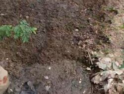 Aliran Limbah RPH PT Lembumas Inti Perkasa di Dusun Amburan Masih Belum Ada Tindakan Dari Pemdes Setempat