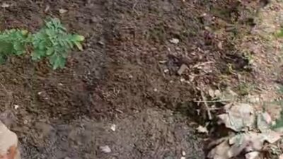 Aliran Limbah RPH PT Lembumas Inti Perkasa di Dusun Amburan Masih Belum Ada Tindakan Dari Pemdes Setempat