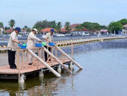 Presiden Prabowo Tinjau Kawasan BLUPPB Karawang, Dorong Swasembada Pangan dan Ekonomi Biru