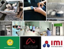 Terobosan Terapi Komplementer Teknologi Nano Kombinasi NO, Mg dan GNH