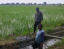Bhabinkamtibmas Aipda Mustofan Bersinergi dengan Masyarakat Wujudkan Ketahanan Pangan
