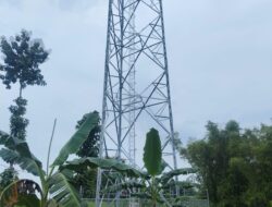 Bupati Lamongan Harus Tegas Perintahkan Satpol PP Babat Habis Tower Tak Berijin Lengkap