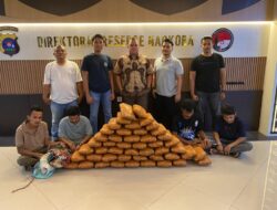 Polisi Gagalkan Peredaran 47 Kg Ganja di Sumbar