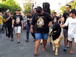 Sambut Idul Adha, Qurban Runners Digelar di Kalitutup Gresik