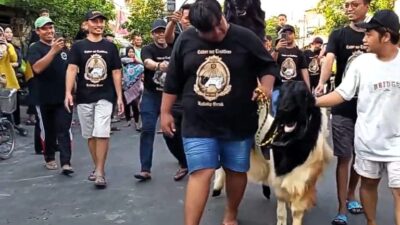 Img 20250604 Wa0464