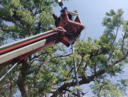 Tingkatkan Penerangan Jalan, Pemkab Bojonegoro Pasang 290 Lampu LED 120 Watt