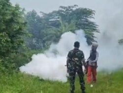 Cegah Demam Berdarah, Babinsa Koramil Duduksampeyan Laksanakan Pendampingan Fogging
