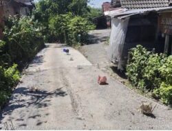 Pembangunan Rabat Beton Desa Drenges Diduga Gunakan Campuran Besi di Bawah Standar