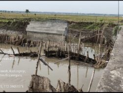 Jembatan Baru Desa Kadungrejo Permudah Akses Petani dan Perkuat Konektivitas Antar Desa