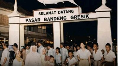 Img 20260312 Wa0231