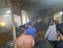 Polsek Ngimbang dan Damkar Berjibaku Padamkan Gudang Tembakau yang Terbakar