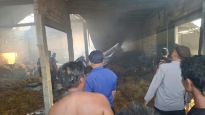 Polsek Ngimbang dan Damkar Berjibaku Padamkan Gudang Tembakau yang Terbakar